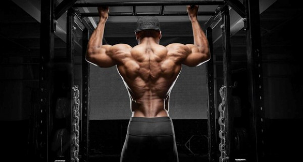 Top 5 bài tập cơ lưng giúp phần sau to rộng tức thì cực kỳ gợi cảm